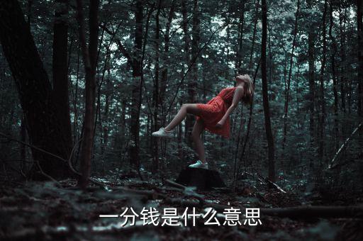 支付寶錢包一分錢是什么意思，一分錢是什么意思