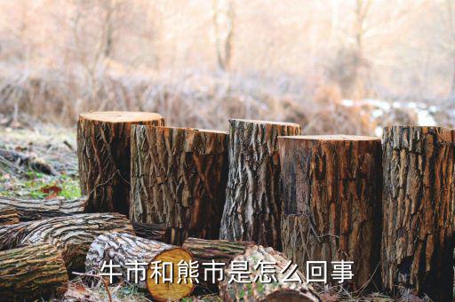 什么是熊市，人們?nèi)粘Ｕ務(wù)摴墒行星闀r常提及牛市熊市其中牛市指