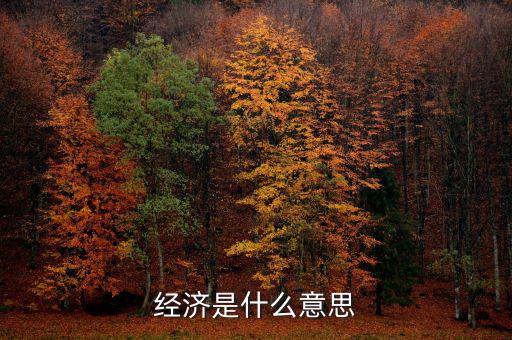 什么經(jīng)濟，什么是商品經(jīng)濟