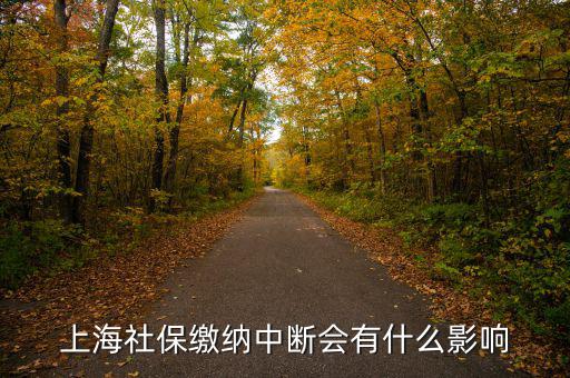 上海生育保險(xiǎn)中斷有什么影響，上海社保繳納中斷會(huì)有什么影響