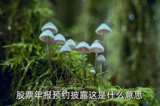 股票披露是什么意思，股票年報預約披露這是什么意思