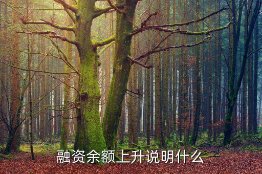 濰柴融資額度很高說明什么，融資余額上升說明什么