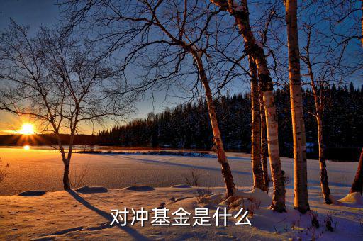 對沖基金到底是什么，對沖基金是什么