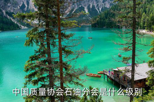 中質(zhì)協(xié)獎屬于什么級別，國藝杯屬于什么級別的獎項