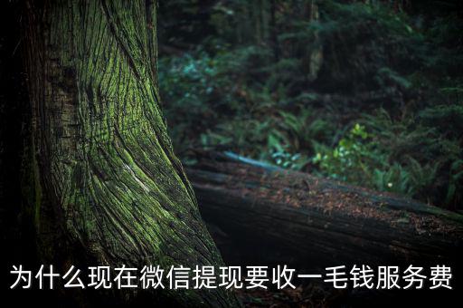 微信提現(xiàn)為什么要收費(fèi)，為什么現(xiàn)在微信提現(xiàn)要收一毛錢服務(wù)費(fèi)