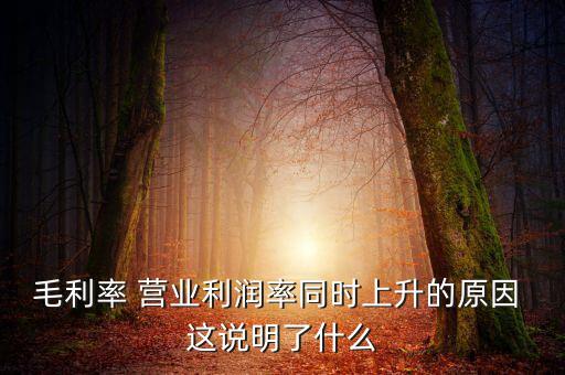 毛利率增長說明什么，增值稅毛利率的高低說明什么