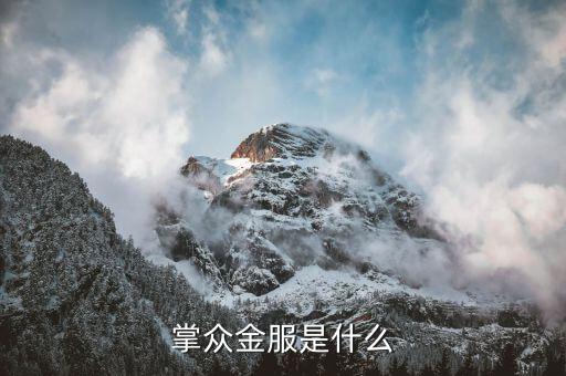 掌金互聯(lián)是干什么的，掌眾金服是什么