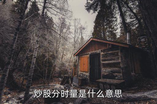 炒股分時量是什么意思