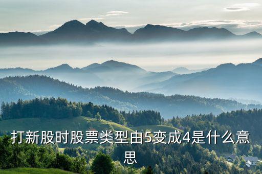 股票類型4是什么意思，打新股時股票類型由5變成4是什么意思