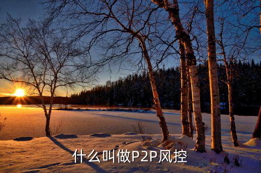 什么是風(fēng)控機制，白條風(fēng)控是什么意思
