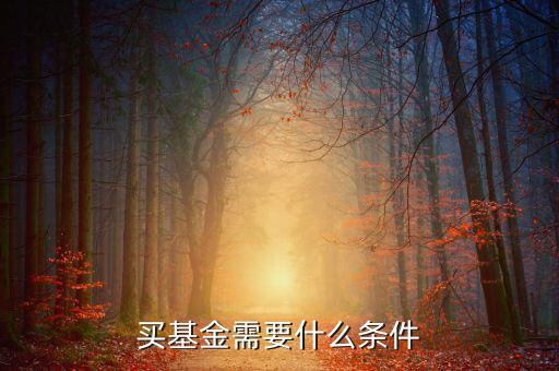買(mǎi)基金有什么條件，買(mǎi)基金都需要什么條件啊