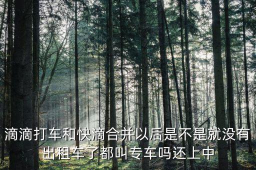 滴滴快滴合并叫什么，滴滴快的合并后叫什么