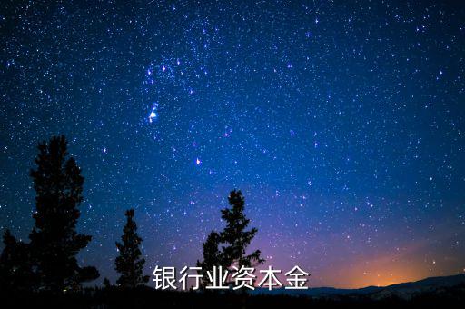 銀行資本金是什么，銀行業(yè)資本金