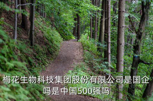 梅花生物是什么板塊，梅花生物科技集團(tuán)股份有限公司是國(guó)企嗎是中國(guó)500強(qiáng)嗎