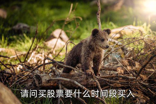 什么時候買入股票，請問買股票要什么時間段買入
