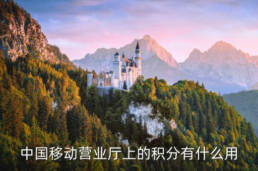 10086的積分有什么用，移動(dòng)電話積分有什么用