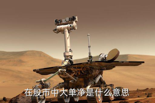 大單凈值什么意思，大單凈比是什么意思