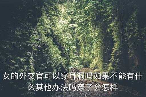 中國女領(lǐng)導(dǎo)人外交應(yīng)該穿什么走出去，外交禮儀中必須穿寄鞋帶的皮鞋么