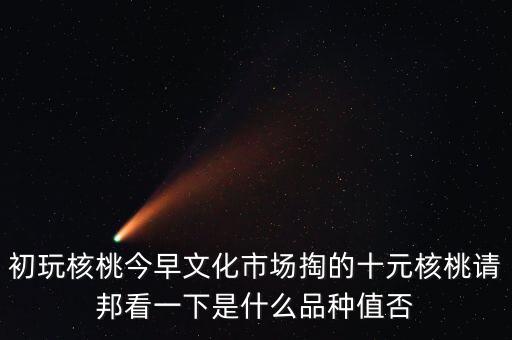 賭核桃是什么品種，請問我這個手玩核桃是什么品種好嗎值多錢