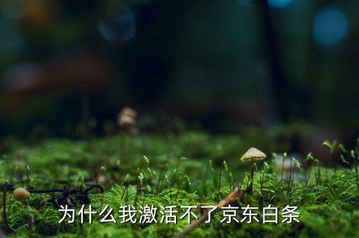 為什么京東的白條激活不了，京東商城的白條為什么激活不了