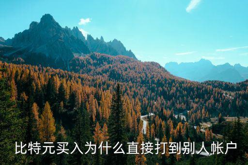 比特幣怎么匯到別人賬戶(hù)上,比特幣轉(zhuǎn)賬到基金賬戶(hù)?不知道!