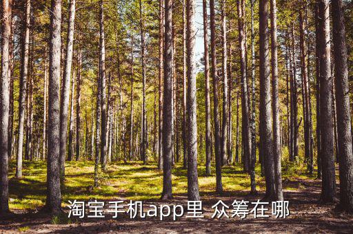 淘寶怎么眾籌,如何參與這個(gè)活動?