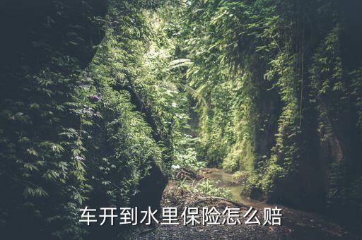 車子進(jìn)水保險(xiǎn)怎么陪,沒投保涉水險(xiǎn)汽車被淹可通過(guò)車損險(xiǎn)獲賠償