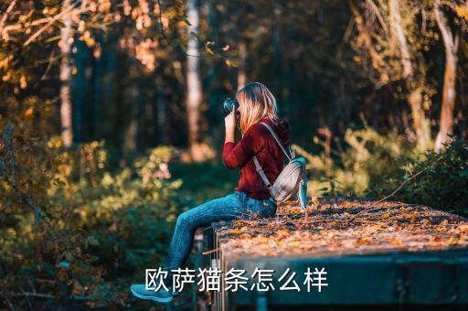 上海歐薩怎么樣,意大利進口貓糧營養(yǎng)均衡貓咪超愛吃