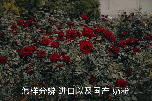 怎樣分辨 進(jìn)口以及國(guó)產(chǎn) 奶粉