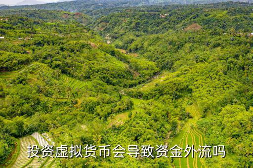 寶慈資產(chǎn)怎么樣,虛擬貨幣難以追蹤大多數(shù)國家持謹(jǐn)慎態(tài)度