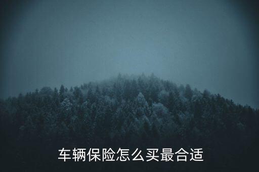 車輛保險(xiǎn)怎么買劃算,如何購(gòu)買車險(xiǎn)劃算1?