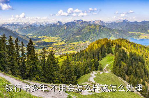 儲蓄卡不用了怎么辦,系統(tǒng)不會自動注銷農(nóng)行中行、郵政儲蓄卡