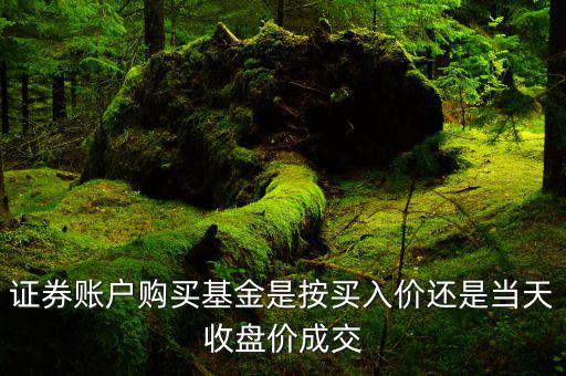 銀華銳進(jìn)怎么買(mǎi),華夏銀行理財(cái)規(guī)劃