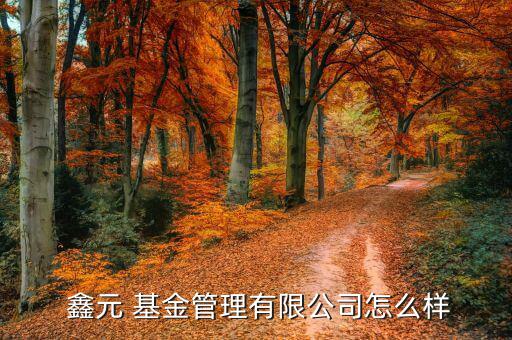 鑫元基金怎么樣,鑫元基金經(jīng)營范圍包括基金發(fā)行、基金賣出等