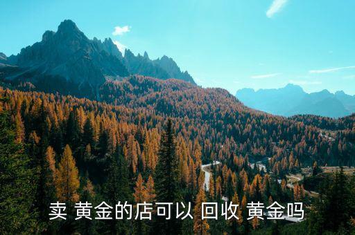 賣(mài) 黃金的店可以 回收 黃金嗎