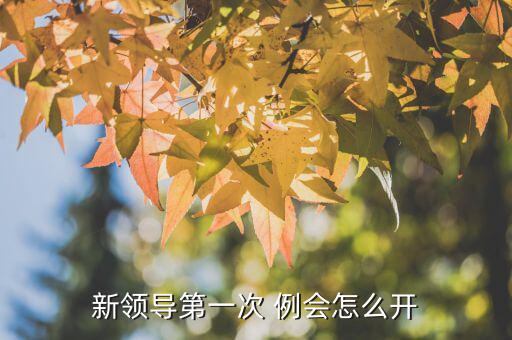 活躍的例會(huì)怎么開,第一次開會(huì)要做什么準(zhǔn)備?