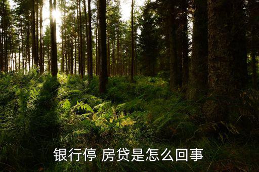 房貸停貸怎么辦,銀行主動暫停房貸業(yè)務待調(diào)整后恢復