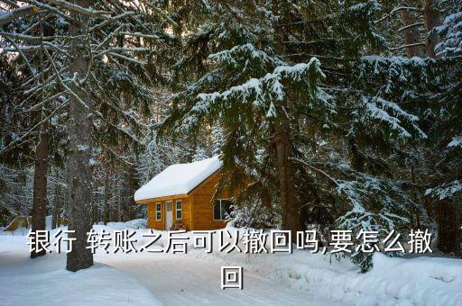 招商轉賬怎么取消,轉賬須知