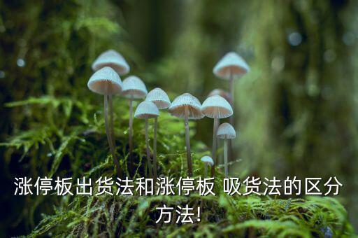 主力吸貨怎么吸,第一階段交易完成后主力被悄悄發(fā)貨