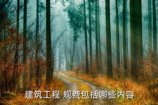 建筑企業(yè)規(guī)費(fèi)怎么上交,建筑工程總費(fèi)包括養(yǎng)老保險費(fèi)等