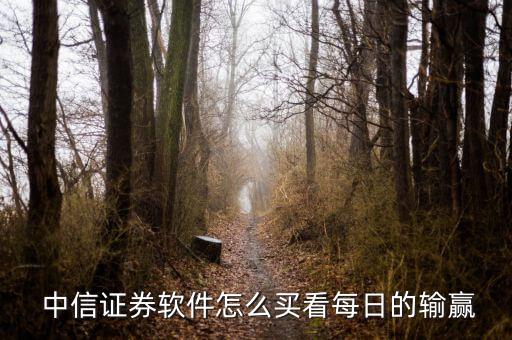 中信證券手機(jī)版怎么看市盈率,中信證券如何查詢自己的盈虧1