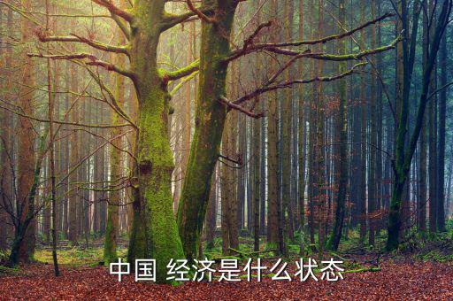 中國經濟怎么樣,我國今年經濟增長目標定在5.5%左右