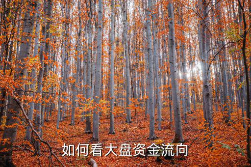 大單凈流入怎么實(shí)時看,怎么看主力資金流向?