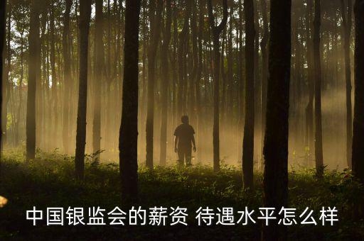 中國(guó)銀監(jiān)會(huì)的薪資 待遇水平怎么樣
