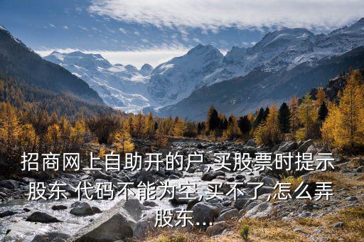 招商網(wǎng)上自助開(kāi)的戶,買股票時(shí)提示 股東 代碼不能為空,買不了,怎么弄 股東...