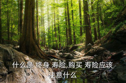 怎么買終身壽險(xiǎn),想買壽險(xiǎn)年輕人最適合買長(zhǎng)壽險(xiǎn)