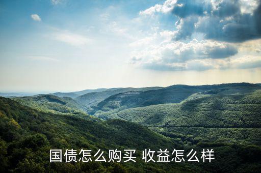  國(guó)債怎么購(gòu)買(mǎi) 收益怎么樣