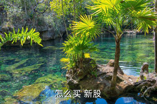 怎么買(mǎi) 新股