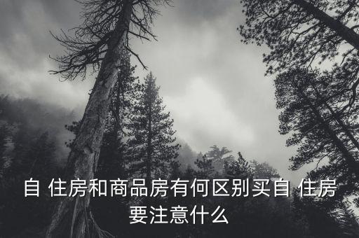 自住房怎么搖號,京字-1搖號規(guī)則:購房家庭按一定比例抽取