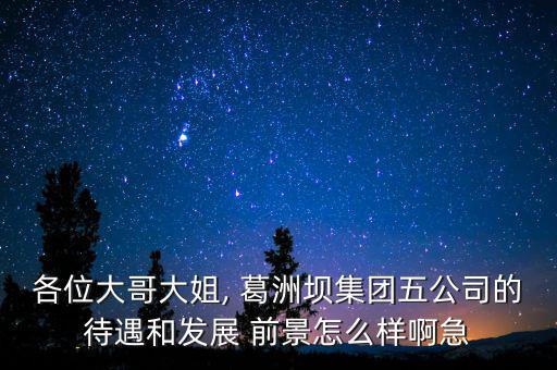 葛洲壩房地產(chǎn)前景怎么樣,葛洲壩集團(tuán)公司是國企里的垃圾!